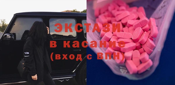 ECSTASY Богородицк