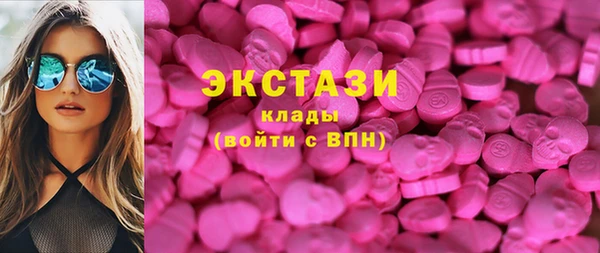 ECSTASY Богородицк